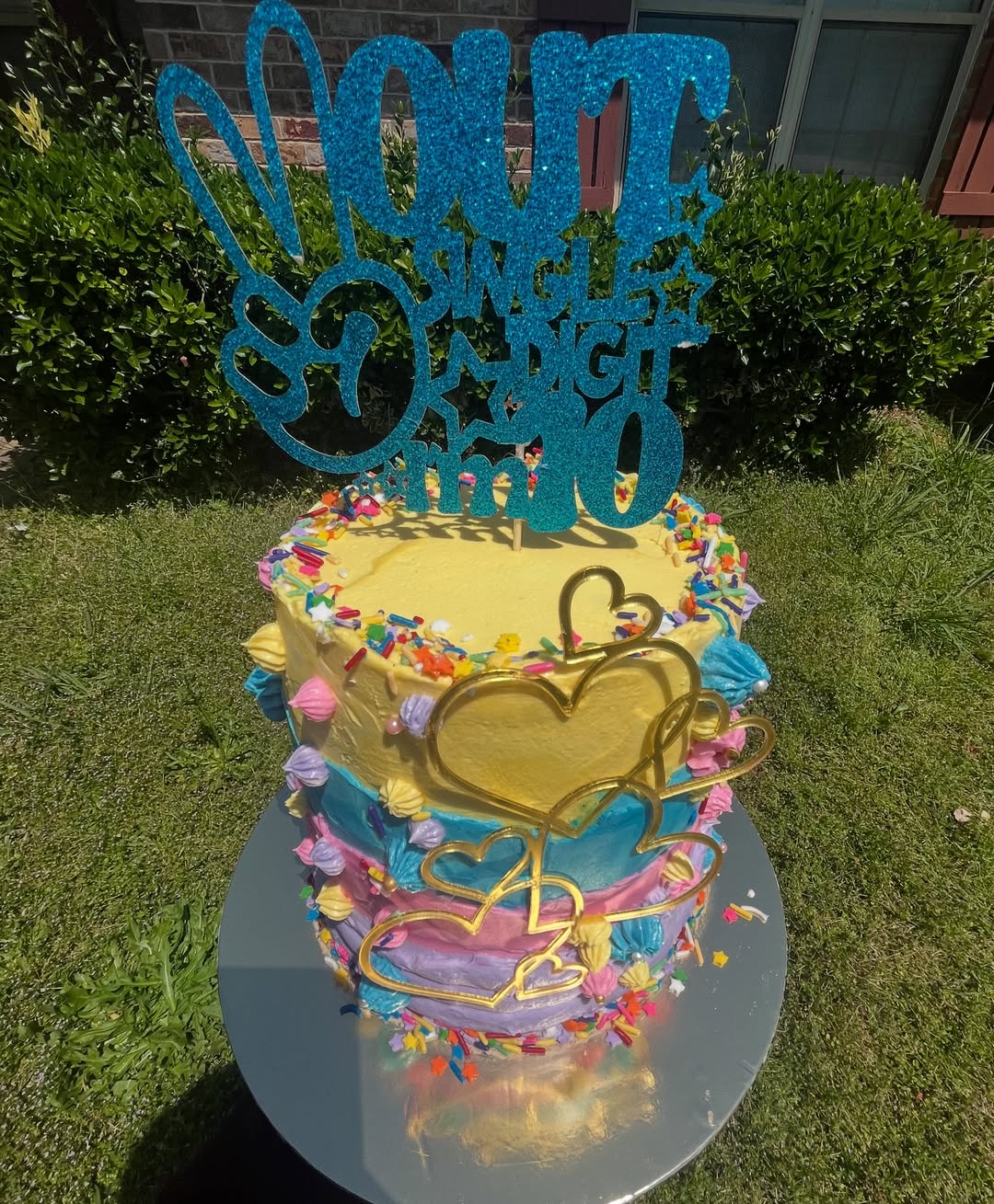 Multi-Color Heart Cake